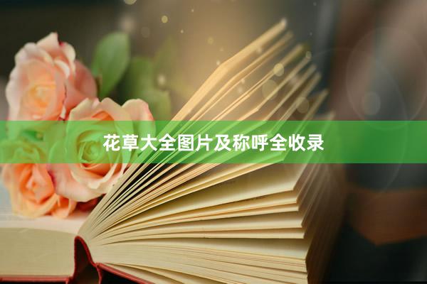 花草大全图片及称呼全收录