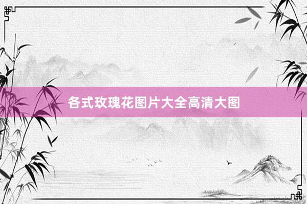 各式玫瑰花图片大全高清大图