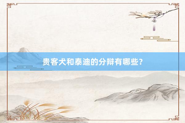 贵客犬和泰迪的分辩有哪些？
