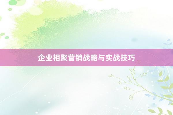 企业相聚营销战略与实战技巧